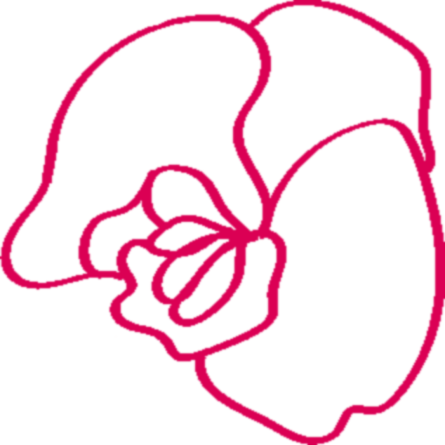 Silvia García Logo Orquídea